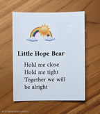 Little Bear in a Box- little Bear with a Message
