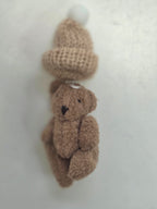 Little Bear in a Box- little Bear with a Message