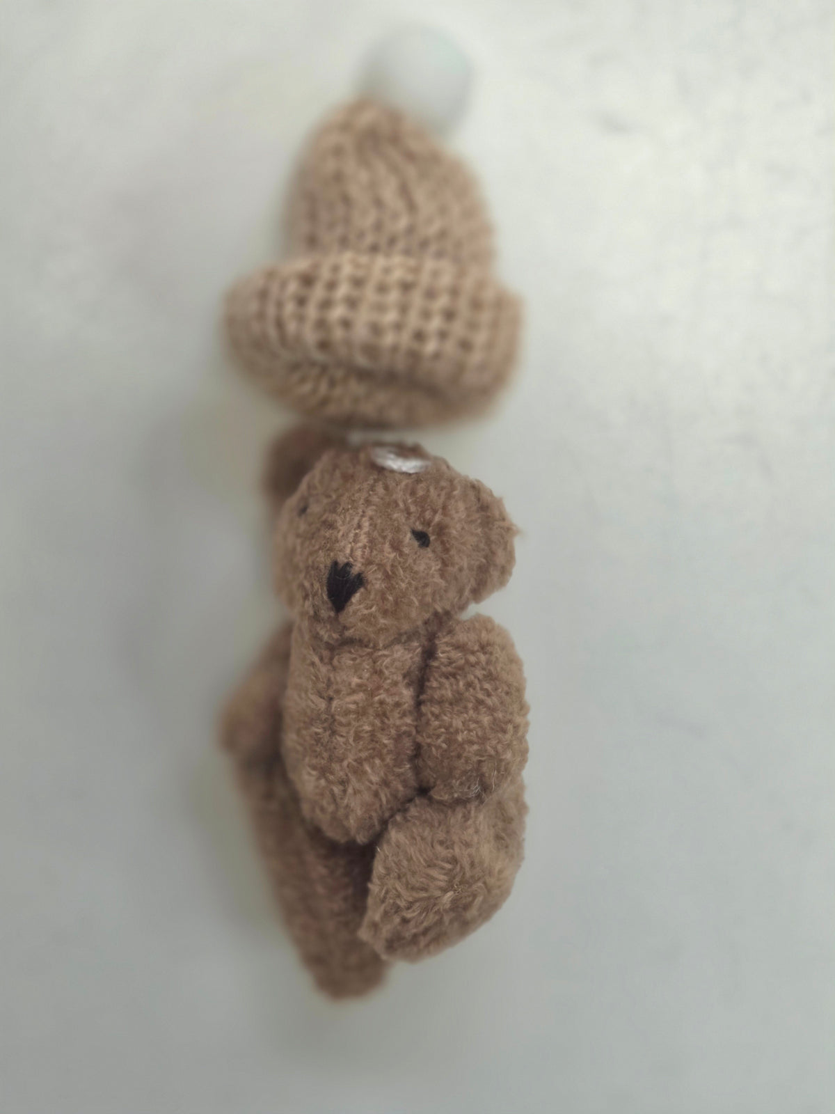 Little Bear in a Box- little Bear with a Message