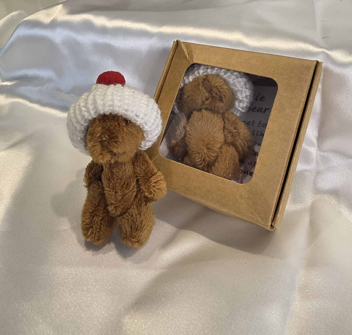 Little Bear in a Box- little Bear with a Message